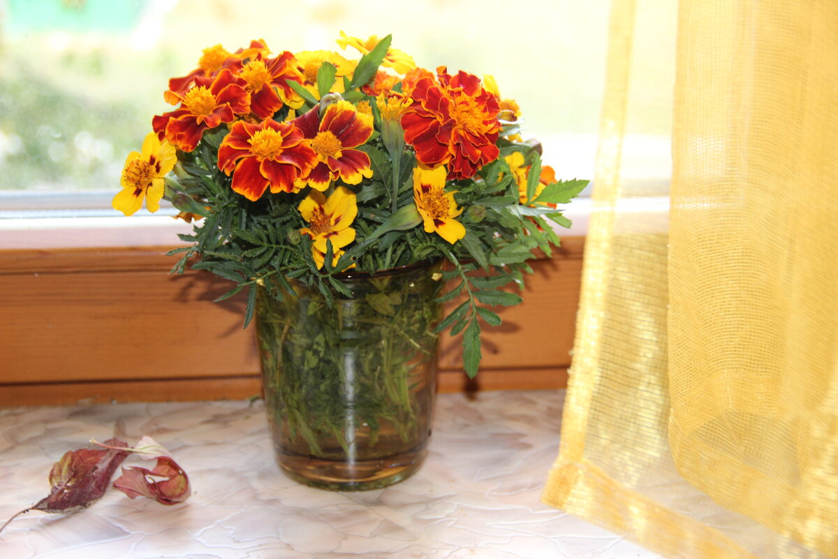 Осень - Венера Чуйкова