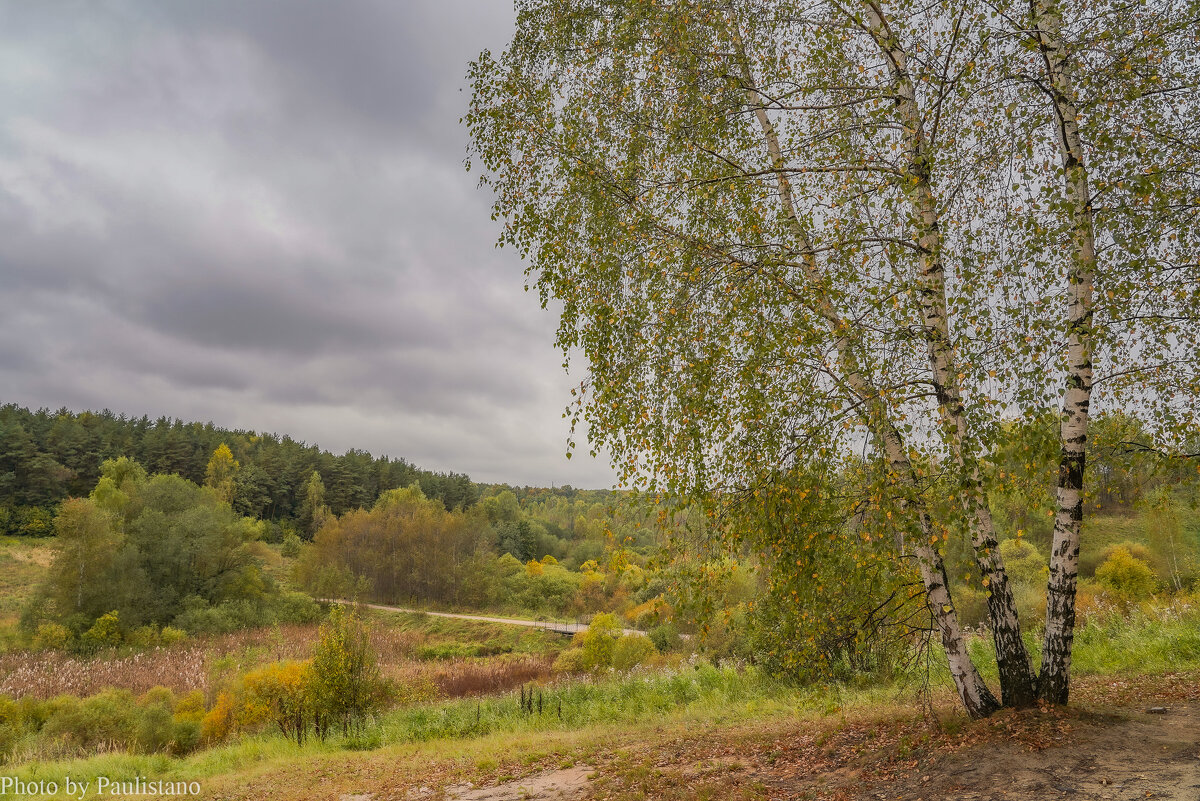 Палитра сентября... - Владимир Жданов Палитра сентября... - Владимир Жданов