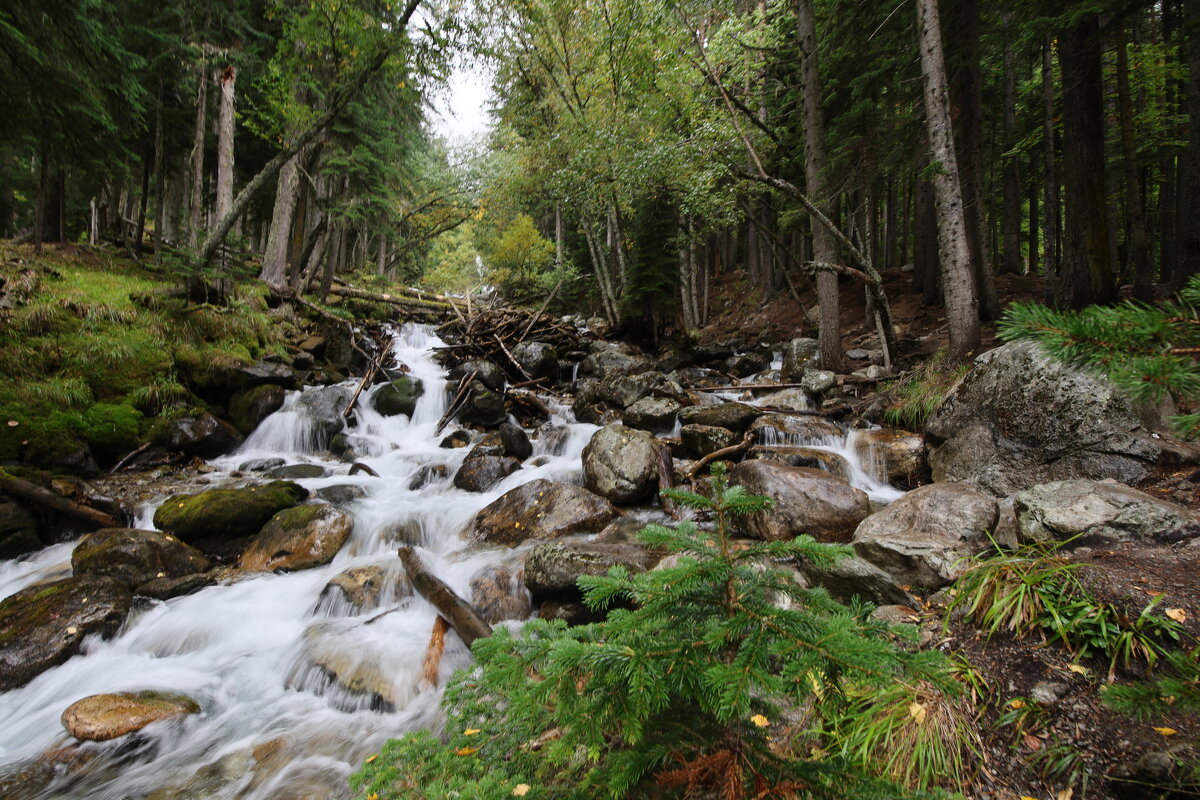 Горные реки...Архыз - Evgeny Mameev