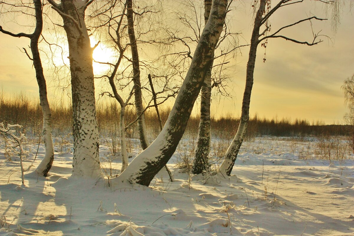 восход в январе - Сергей Лычагин