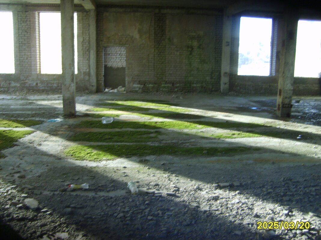 заброшка - fogmeadowww m