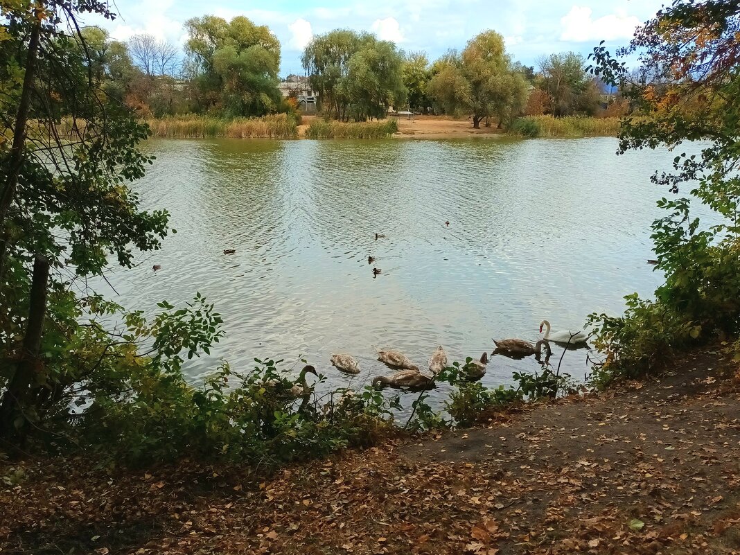 *** - (Владимир С)