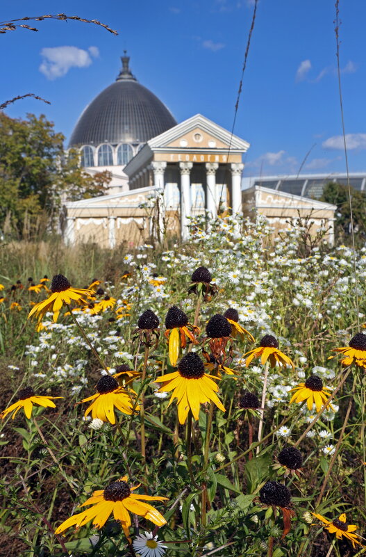 Сентябрь на ВДНХ - Михаил Бибичков