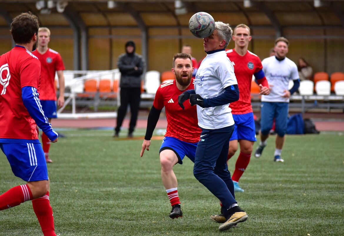 *** - Наталья Вязигина