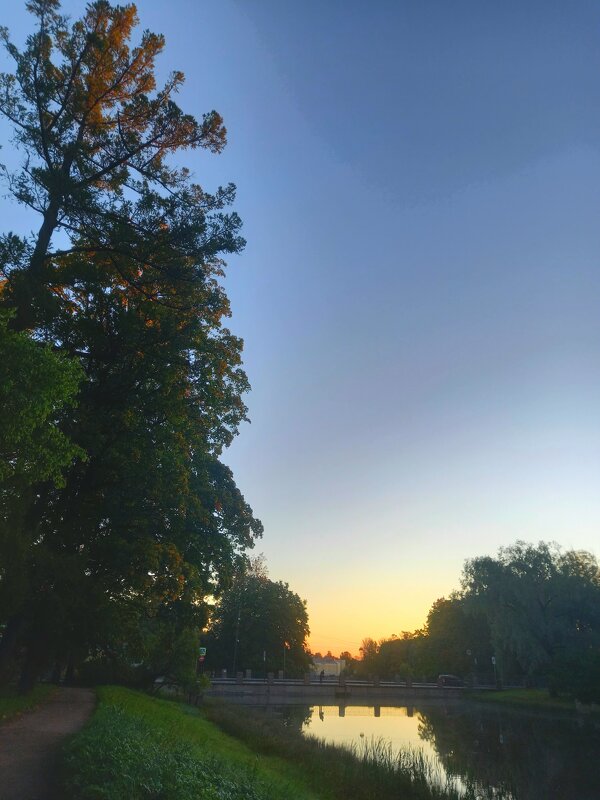 Рассвет - Сапсан 