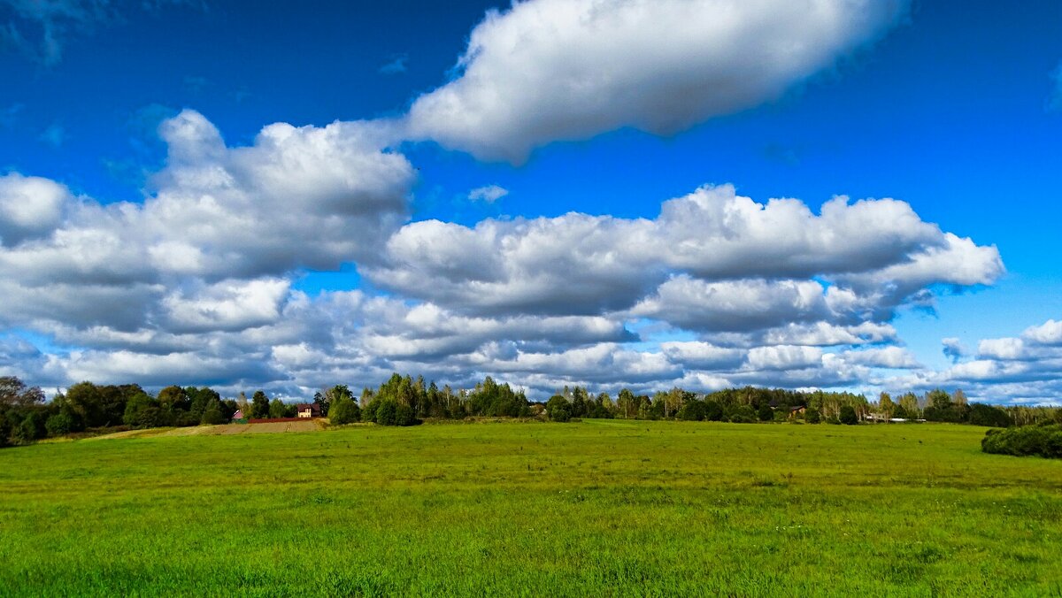 Облака над полем. - Милешкин Владимир Алексеевич Облака над полем. - Милешкин Владимир Алексеевич