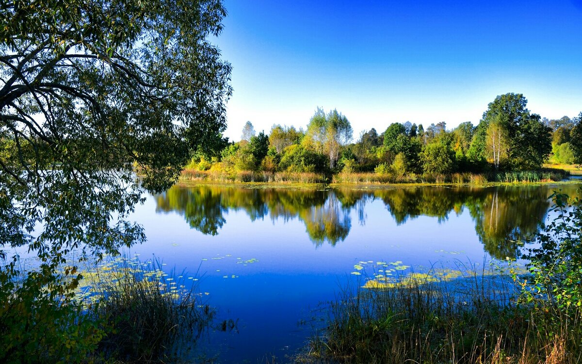 Осень в конце сентября. - Милешкин Владимир Алексеевич 