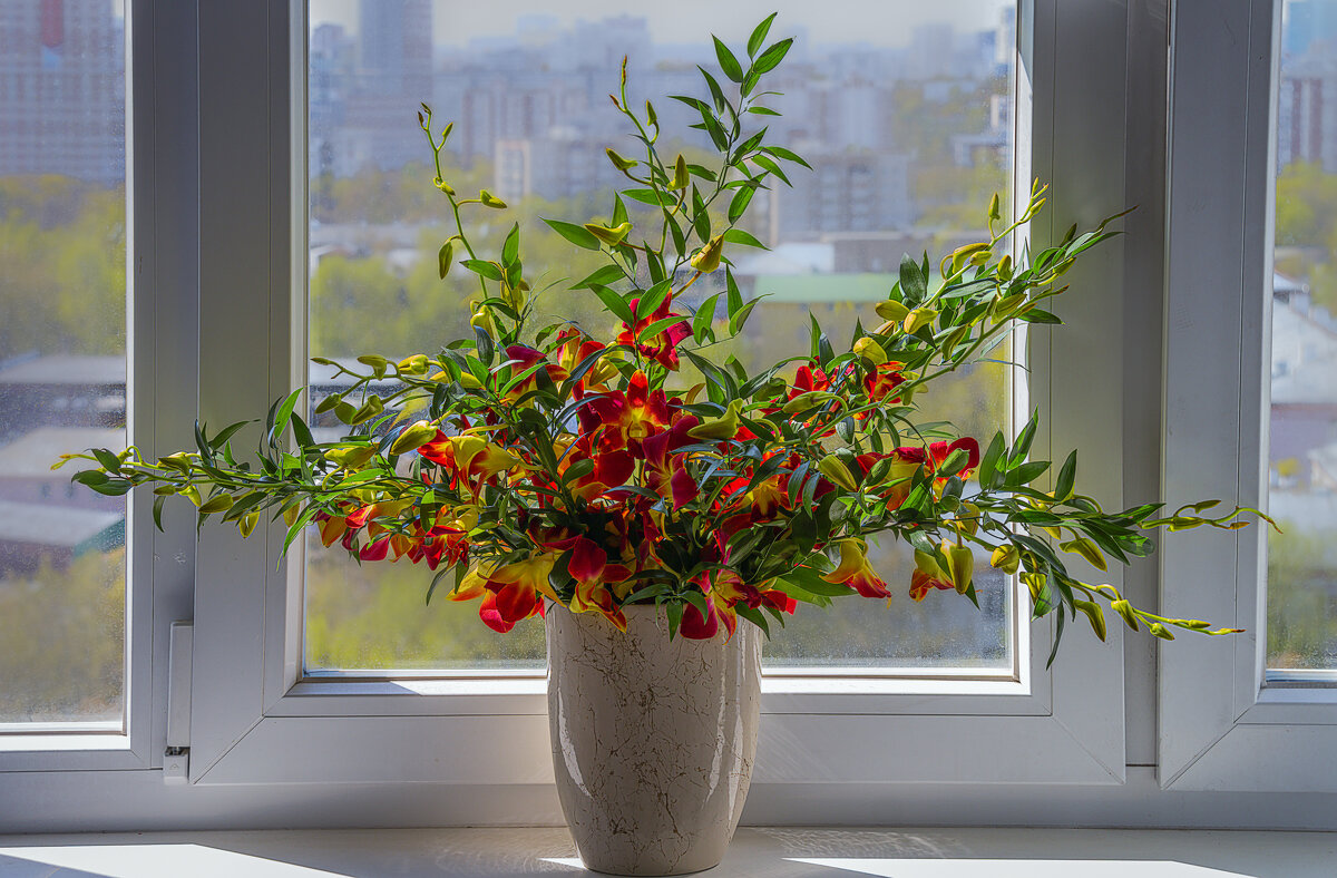 Колумнея - Aleksey Afonin