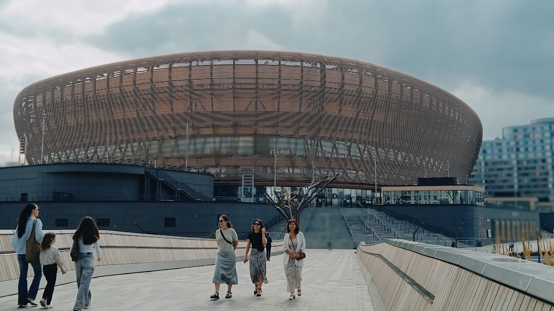 ледовая арена - Елена Шаламова