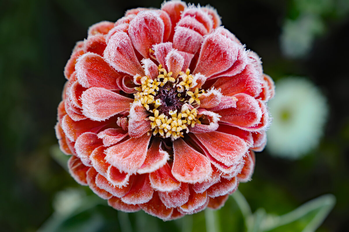 30 сентября - краснов юрий 