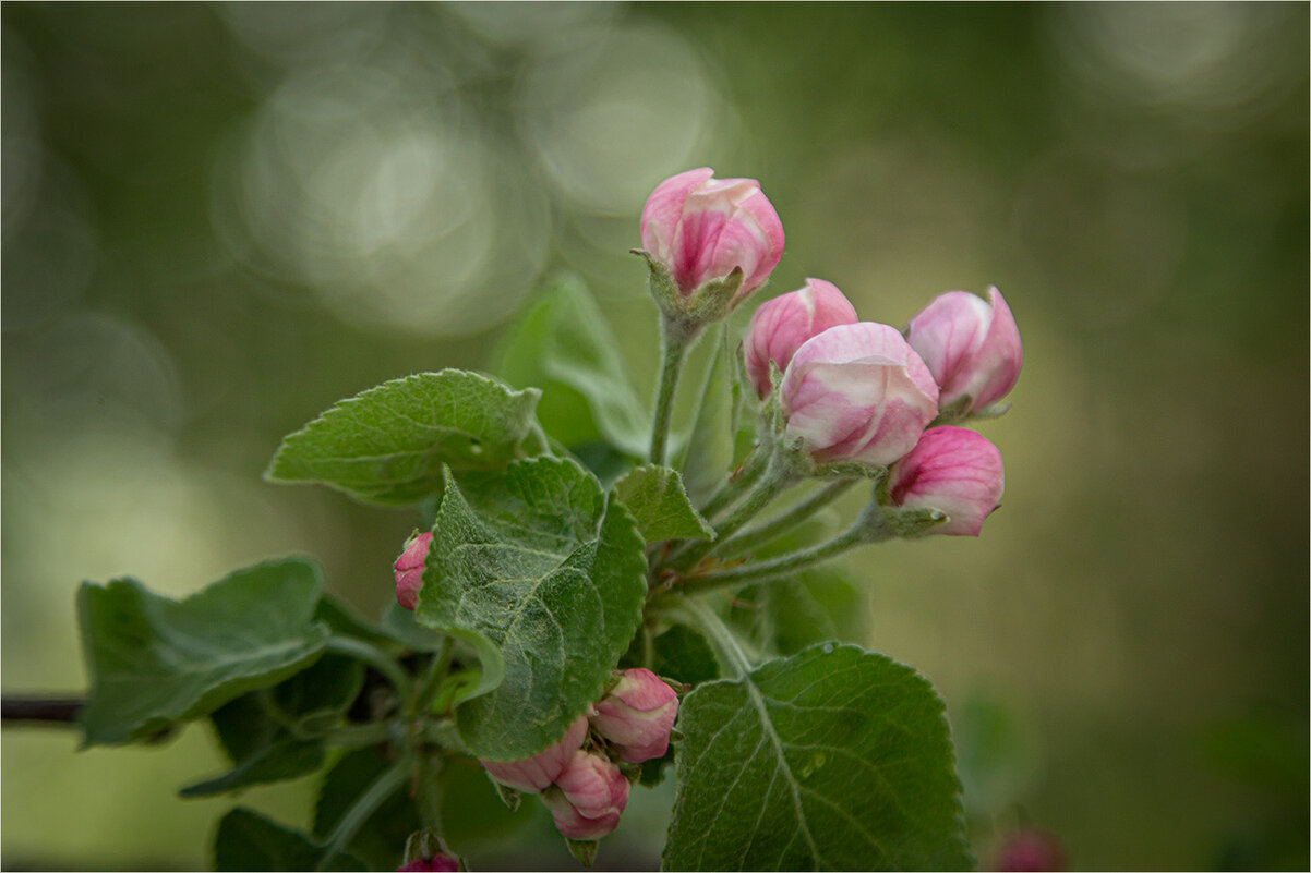 Начало... - Ирина С