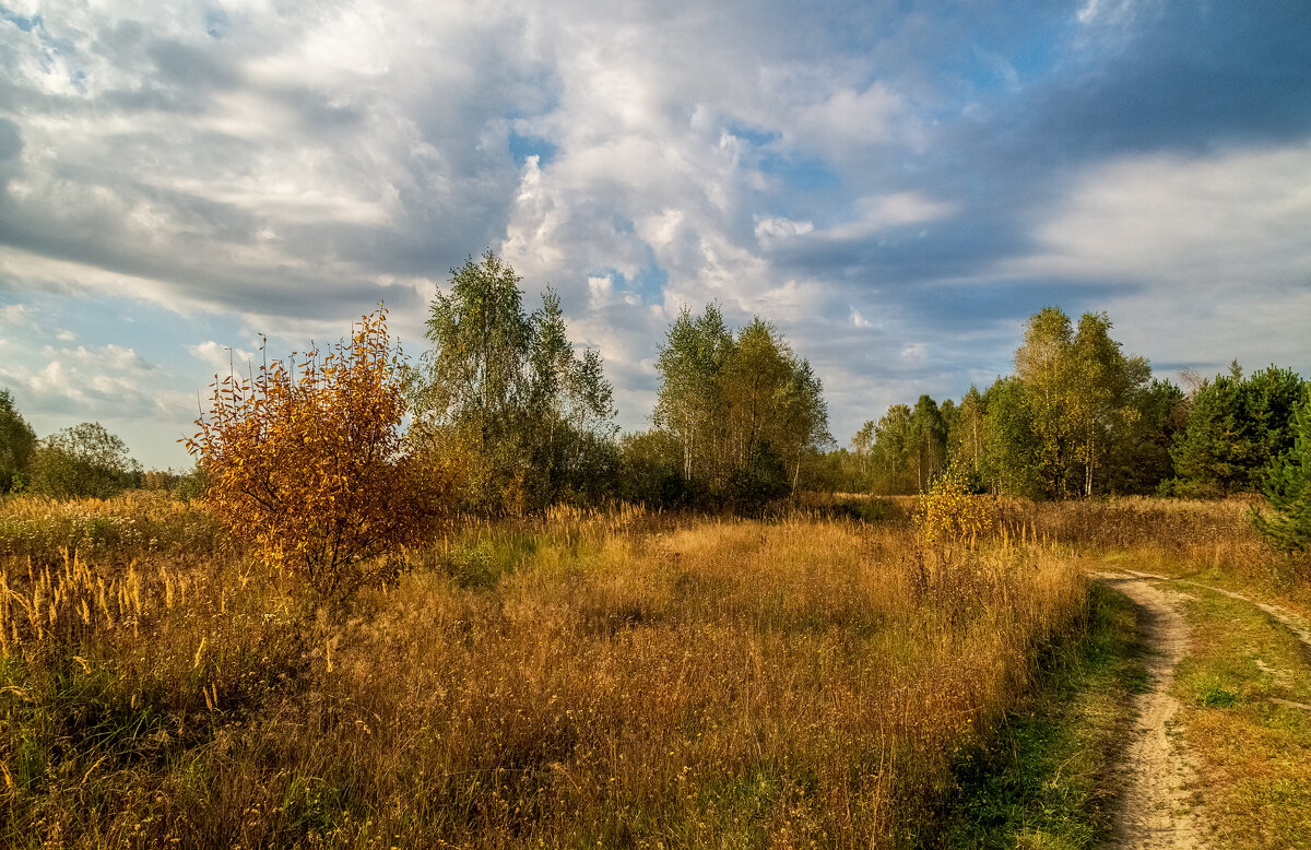 Бабье лето 7 - Андрей Дворников