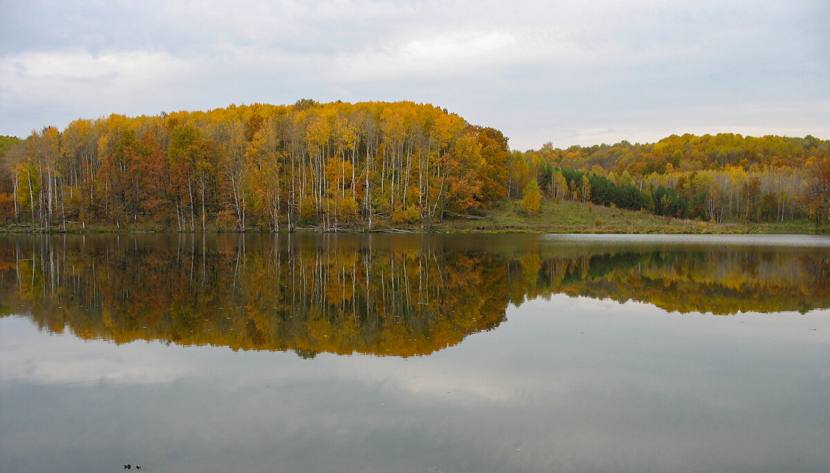 Отражение - Владимир Иванович