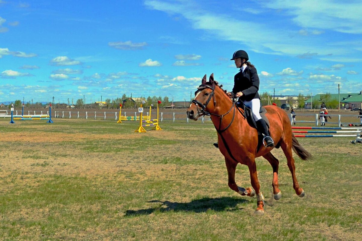 На конкуре - Мишель71 