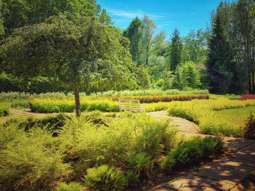 Ботанический сад г.Уфа - Larisa Kuznetsova