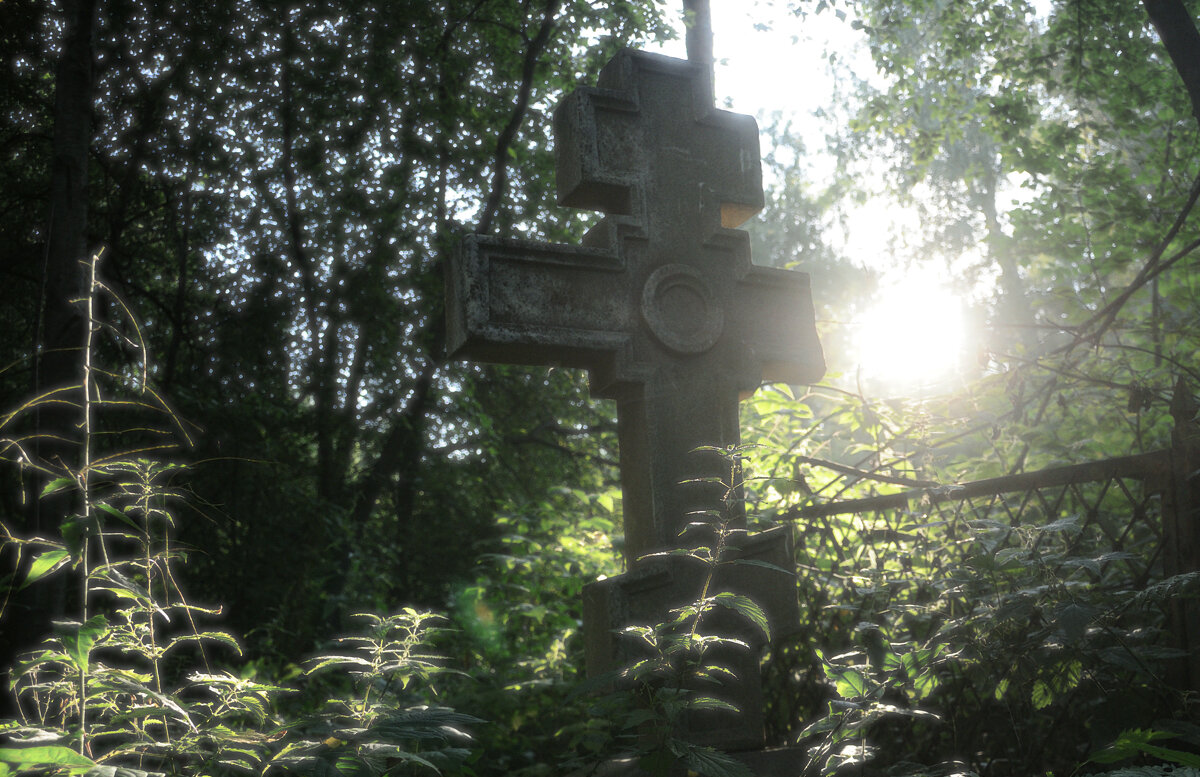 Параллели - Сергей Сергеев