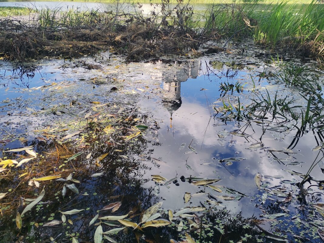 В жаркий день - Евгения Куприянова