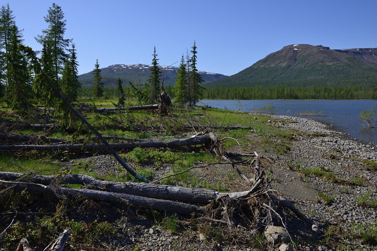 *** - Александр Хаецкий