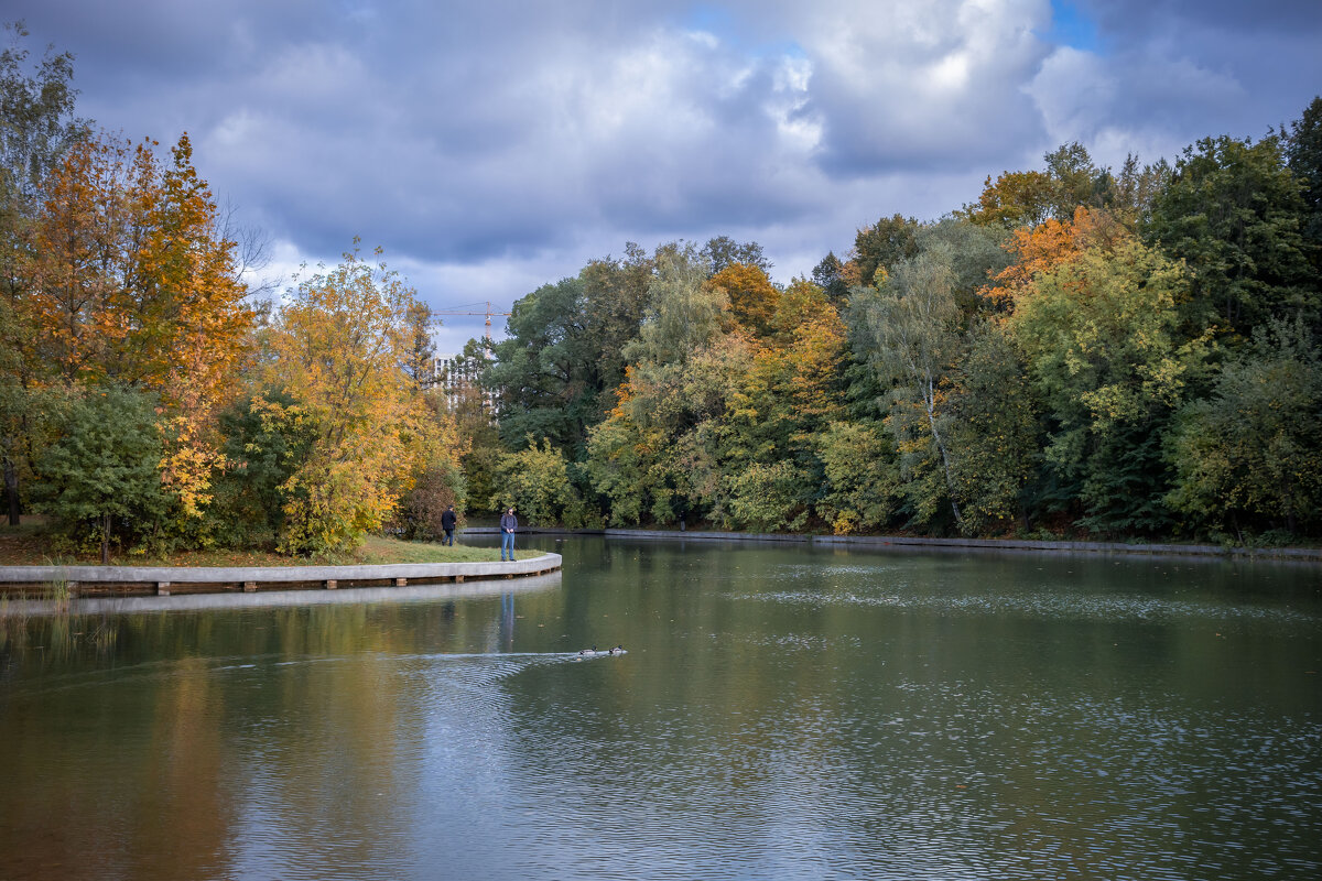 Сокольники - Олег Дорошенко