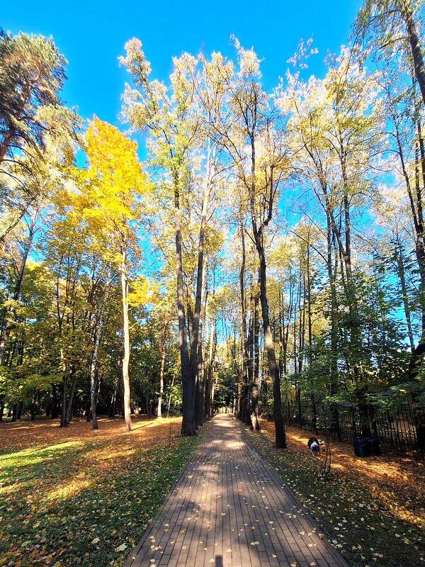 Осенний пейзаж - Наталья 