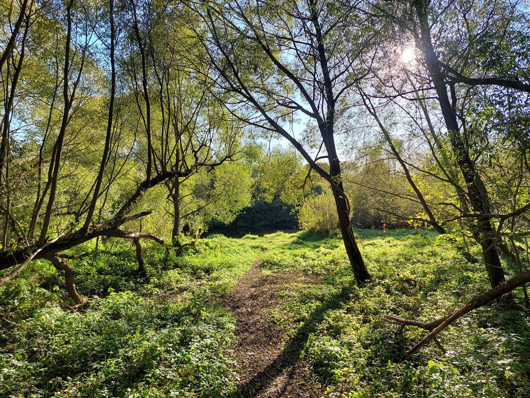 хорошая погодка - Артём 