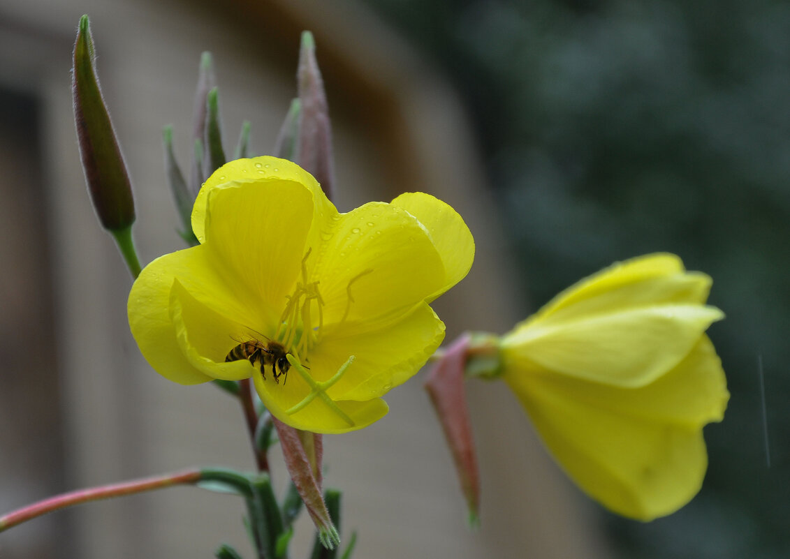 Прощание с сентябрём - Татьяна Машошина