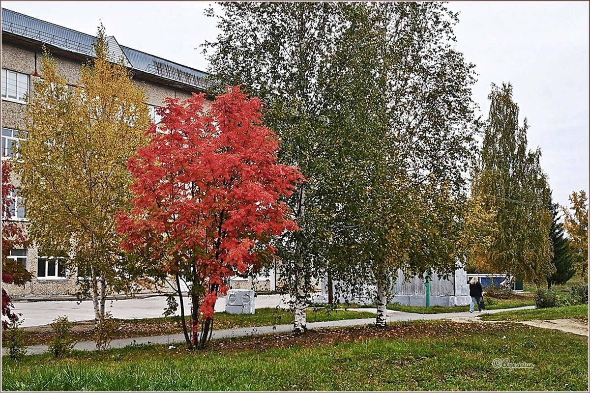 Сентябрьское утро... - Aquarius - Сергей