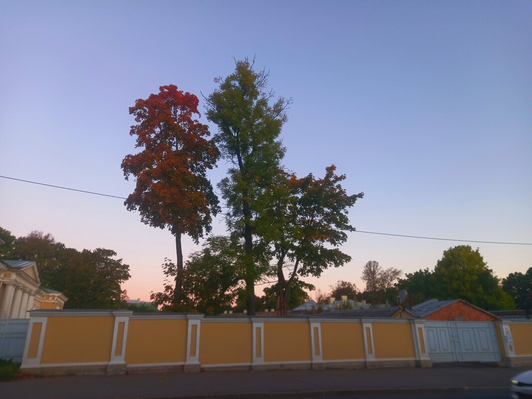 Рассвет - Сапсан 