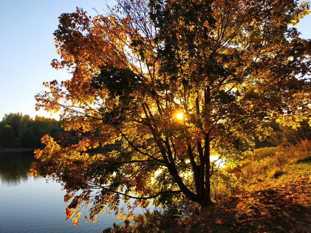 Сентябрь уж отступил - Андрей Лукьянов