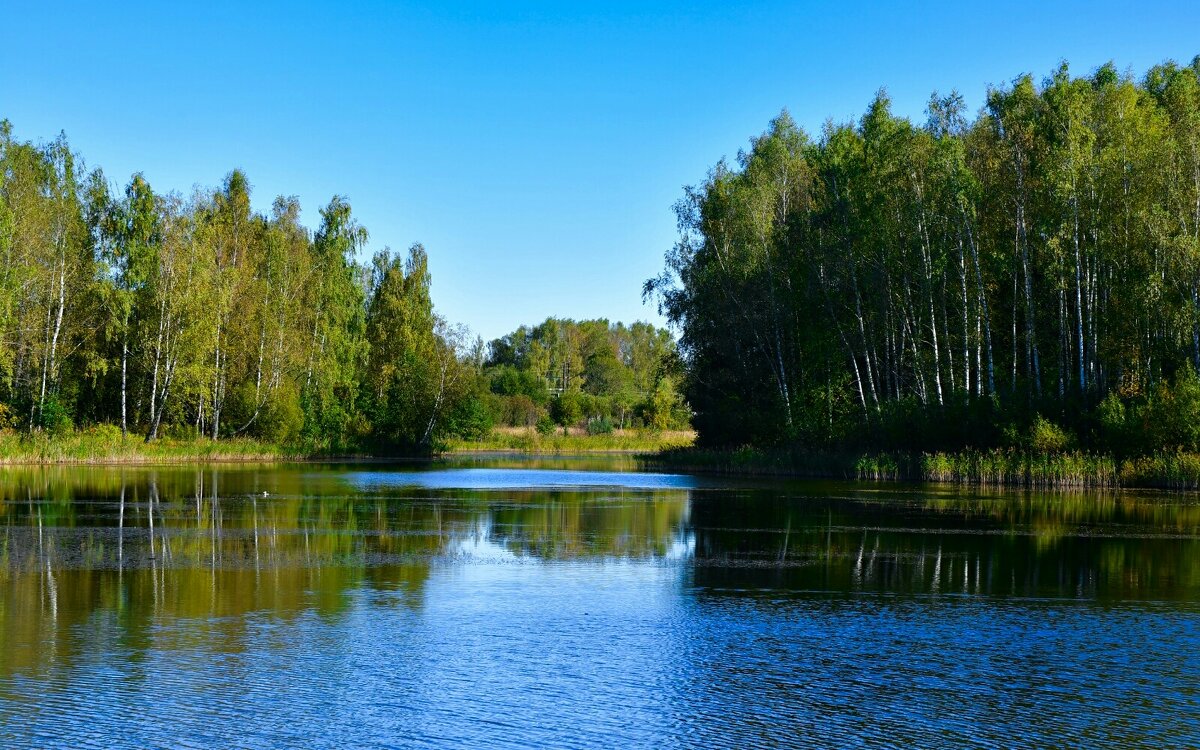 Осенний пейзаж с озером. - Милешкин Владимир Алексеевич 
