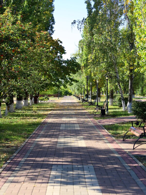 В парке - Андрей Л. В.