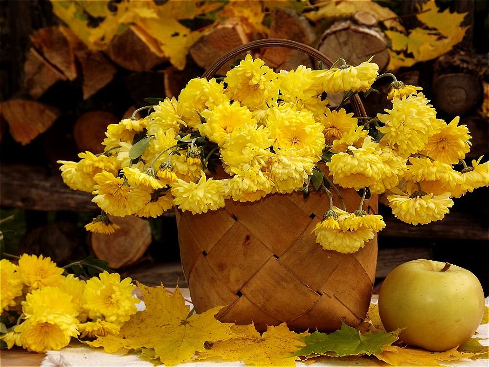 Осень золотая по земле идёт,красками играя всем их раздаёт! - Нина Андронова