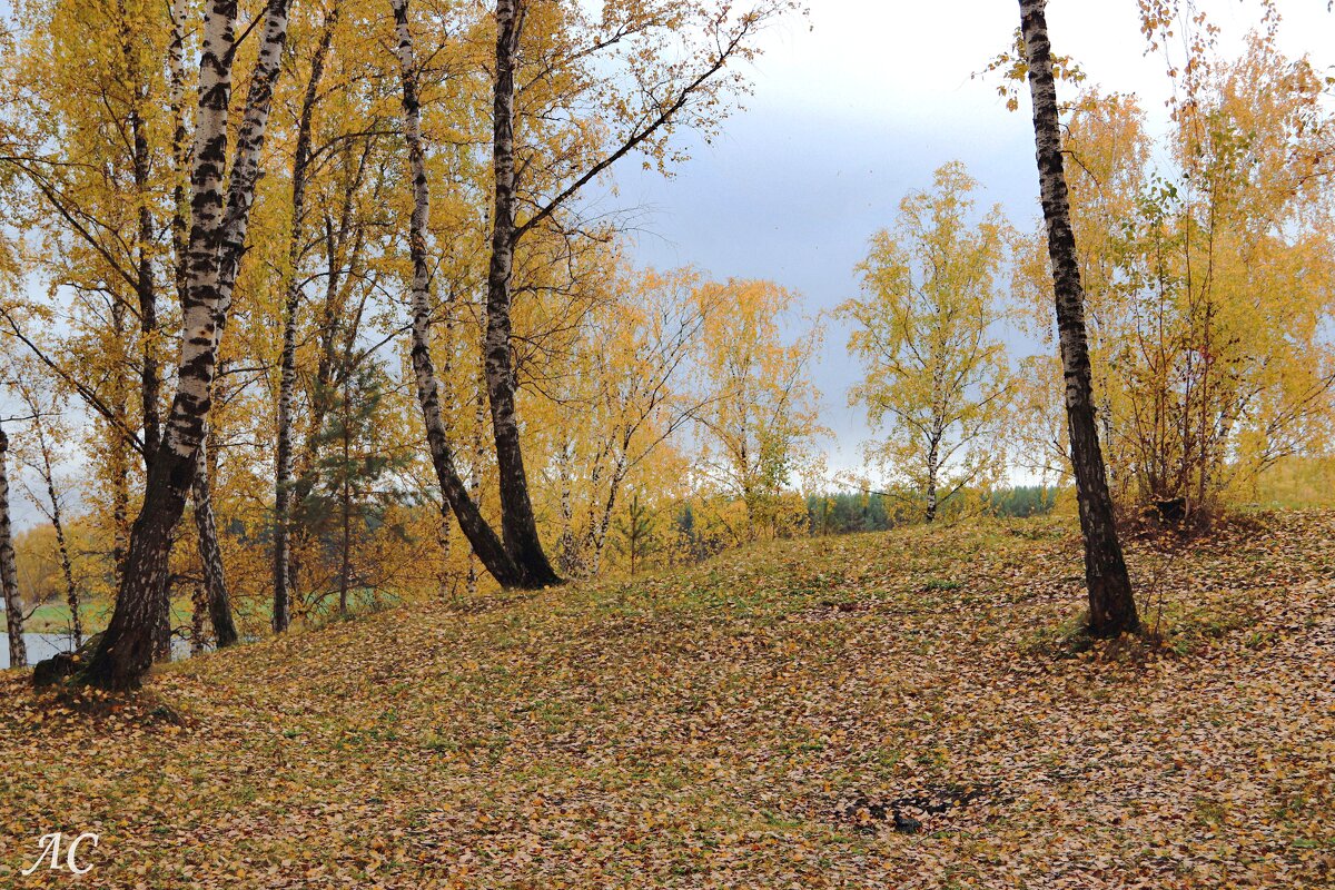 Шагает осень по Уралу - Любовь Сахарова