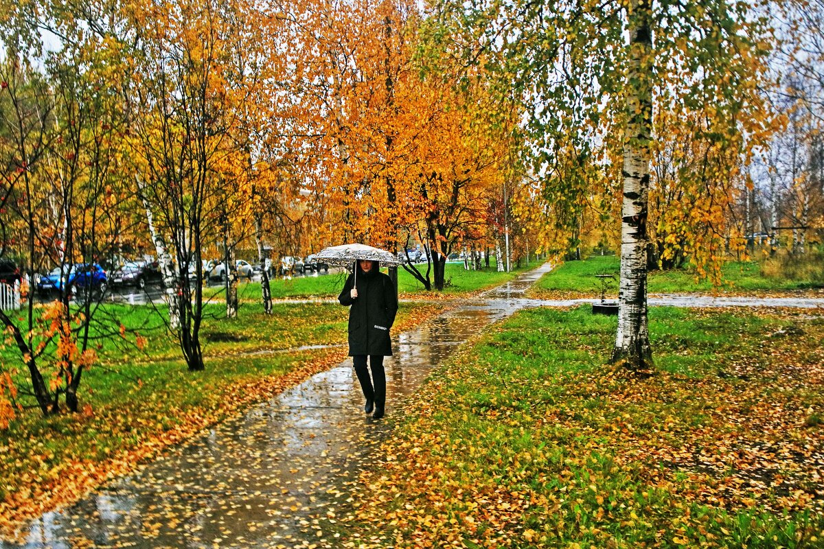 Осень..А дождь все идет и идет! - Владимир 