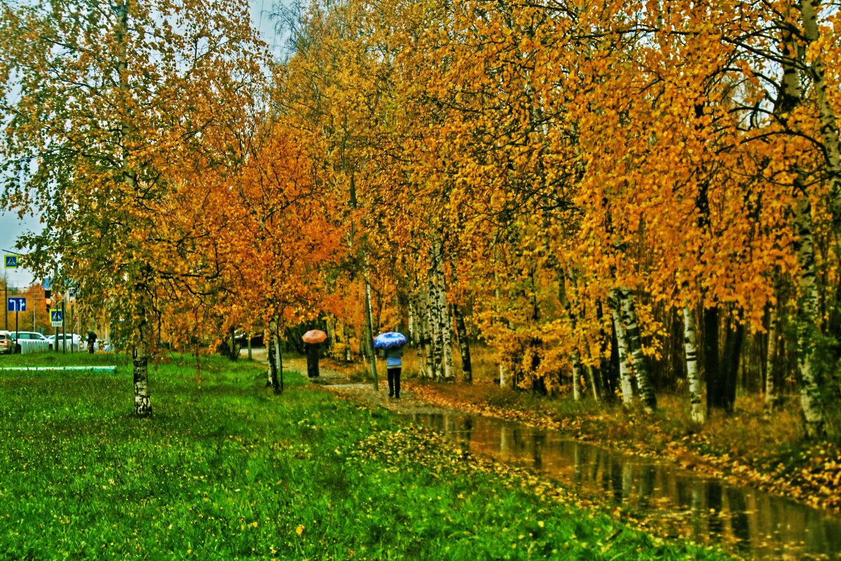 Октябрь...Дождливое утро! - Владимир 