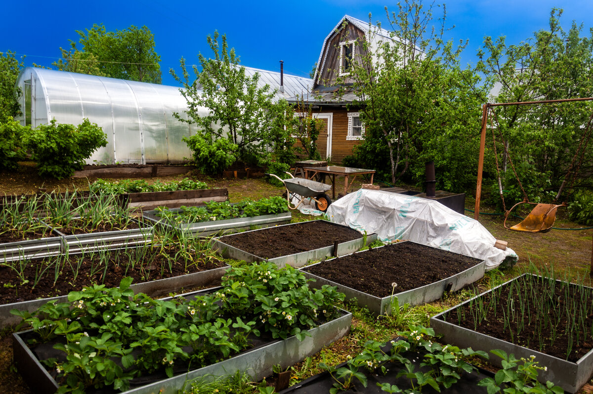 Шесть ссоток - Александр Силинский