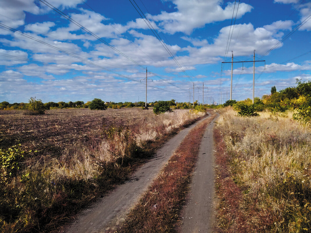 Осень. Дорога. - Андрей. 