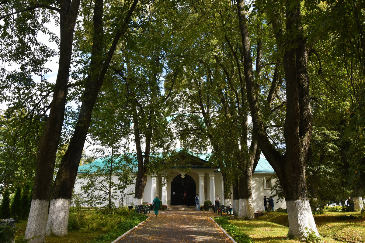 Владимирская область. Город Александров. Александровская Слобода. - Наташа ***** Владимирская область. Город Александров. Александровская Слобода. - Наташа *****