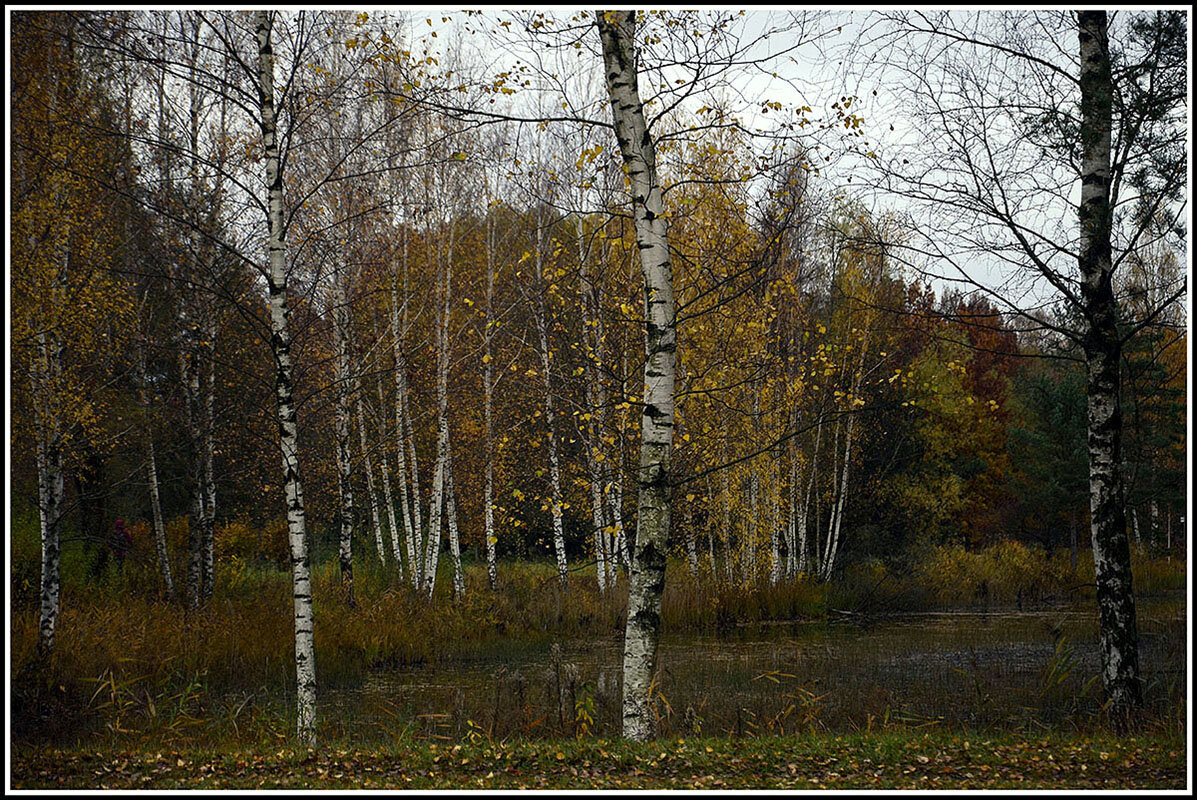 Осень наступила - Aleksandr Gal