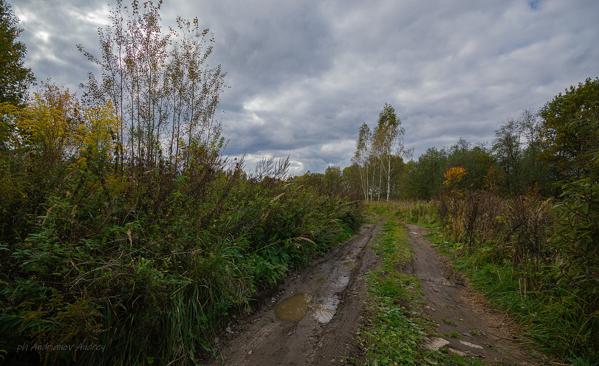 Осень. - Андрей Андрианов