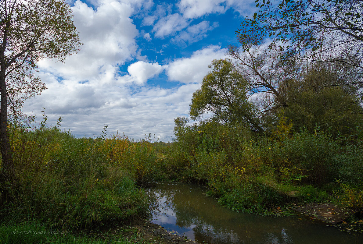 Осень - Андрей Андрианов