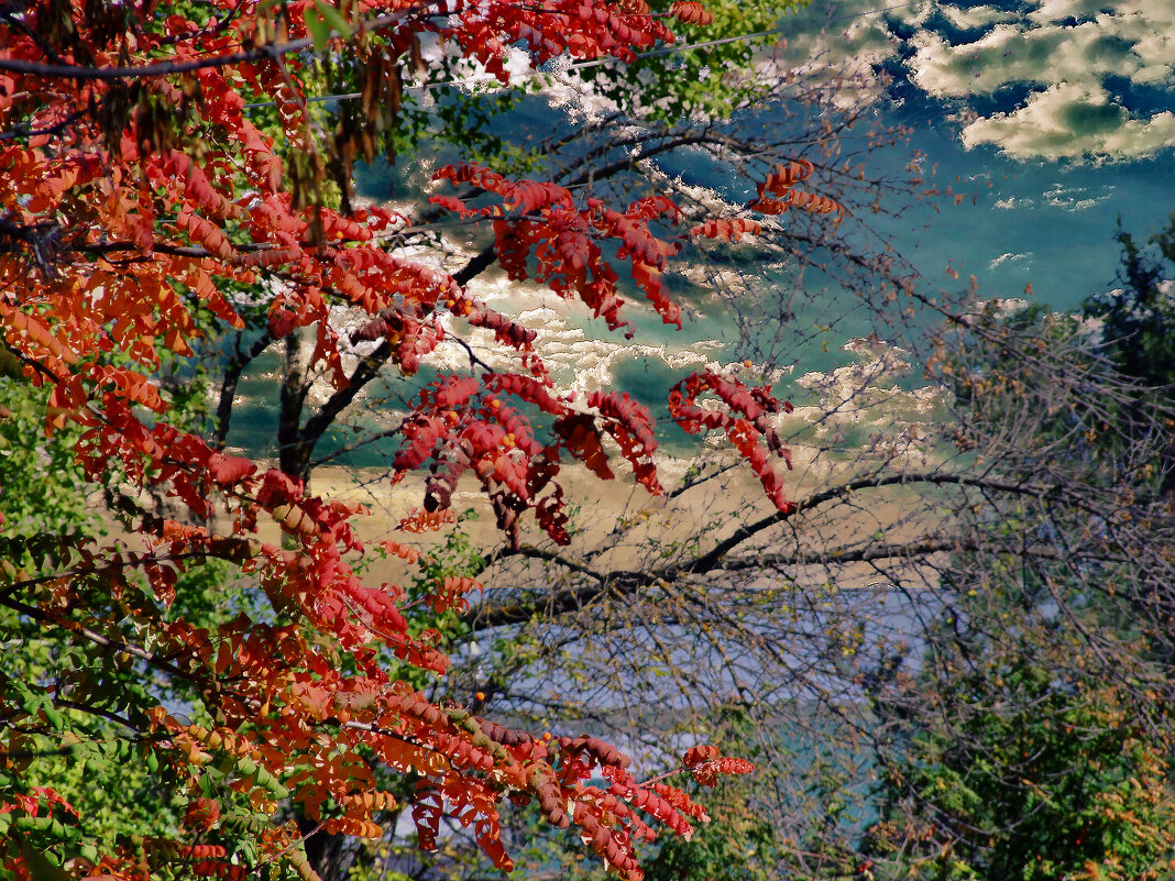 **** - Анатолий Уткин **** - Анатолий Уткин