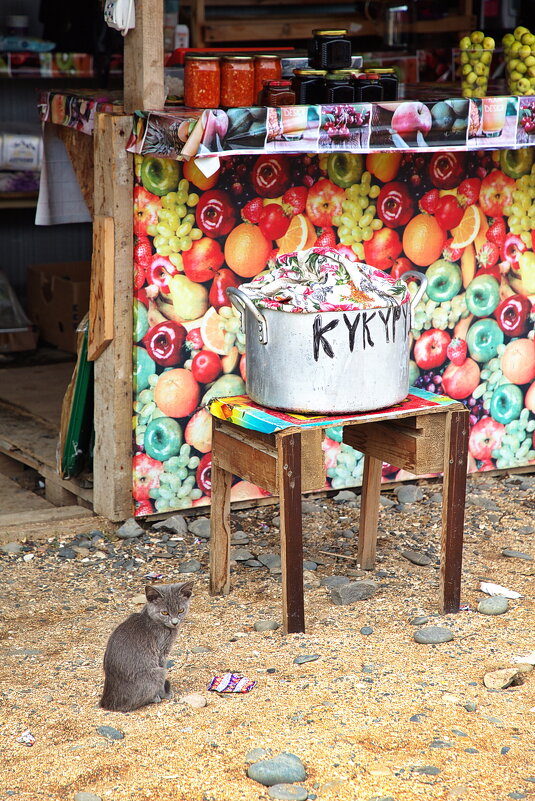 продавец кукурузы - M Marikfoto