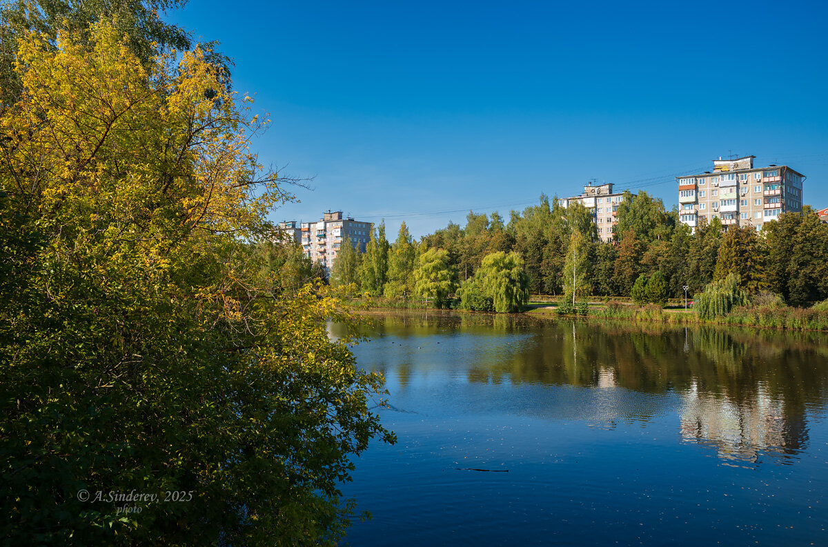 Дома на берегу реки - Александр Синдерёв