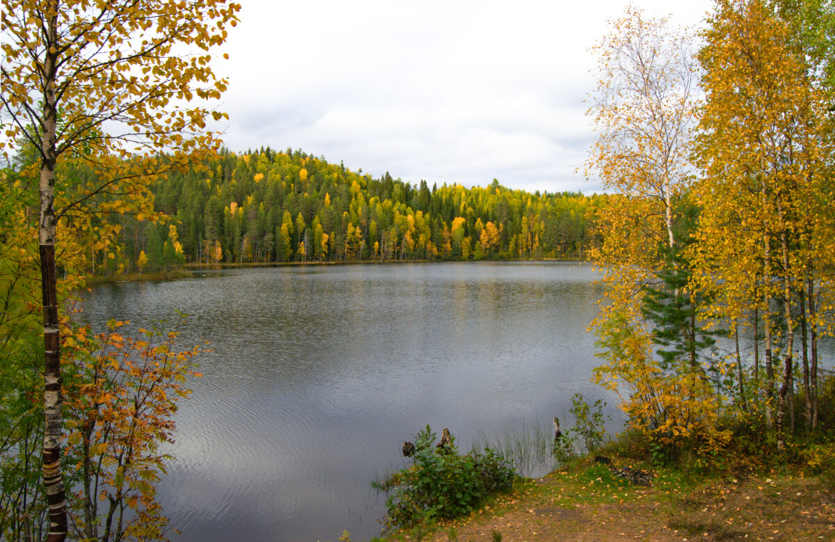 Озеро Островистое - Марина Никулина