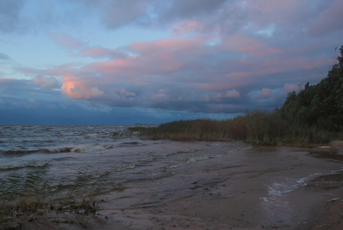 *** - Сергей Григорьев