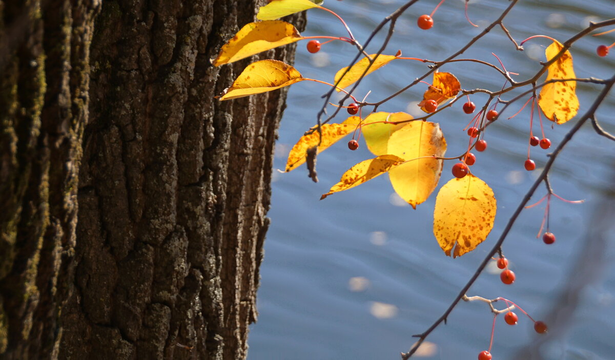 Над рекой - Наталия Григорьева