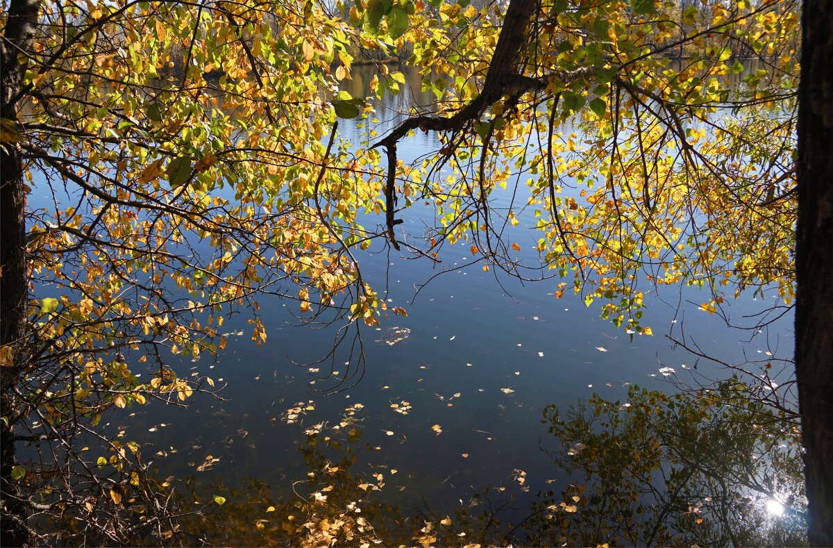 Бабье лето - Наталия Григорьева