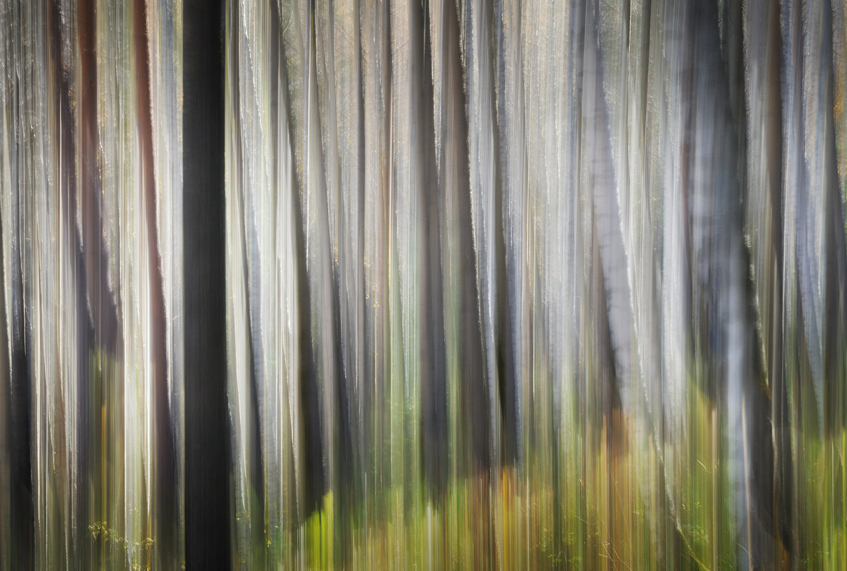 * - Александр Иванов