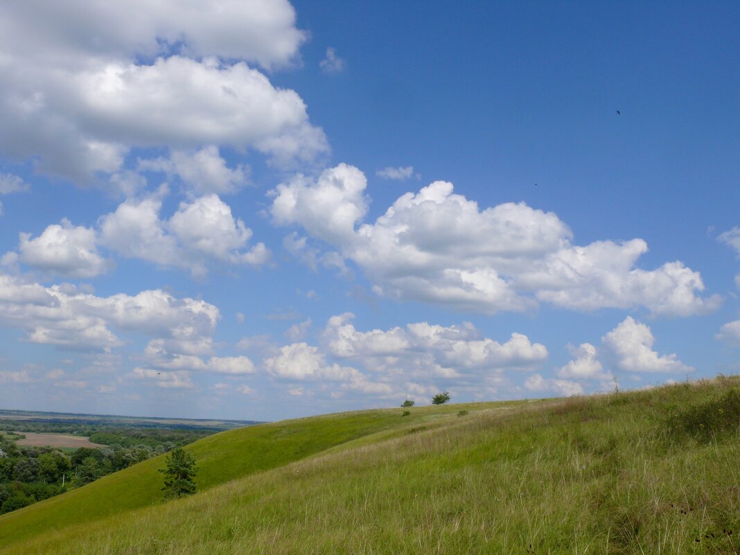 Безмятежность 10 - Елена Елена